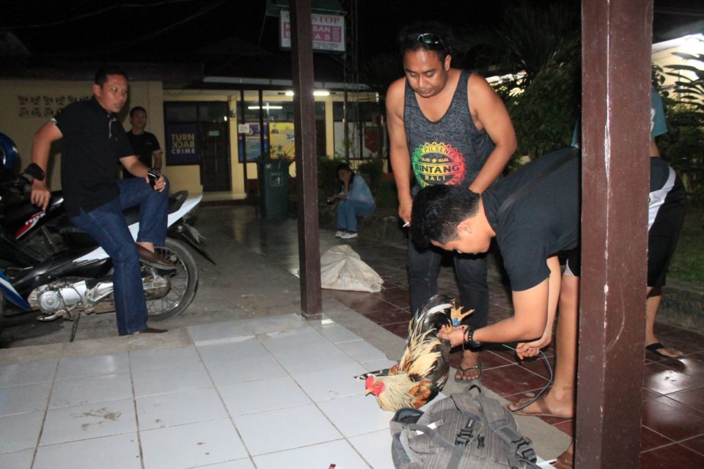Kasat Resktim bersama anggota perlihatkan barang bukti ayam dan sandal jepit