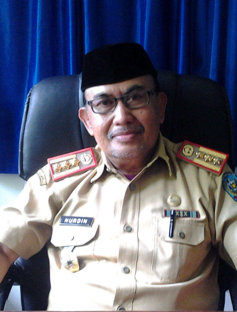 Nurdin