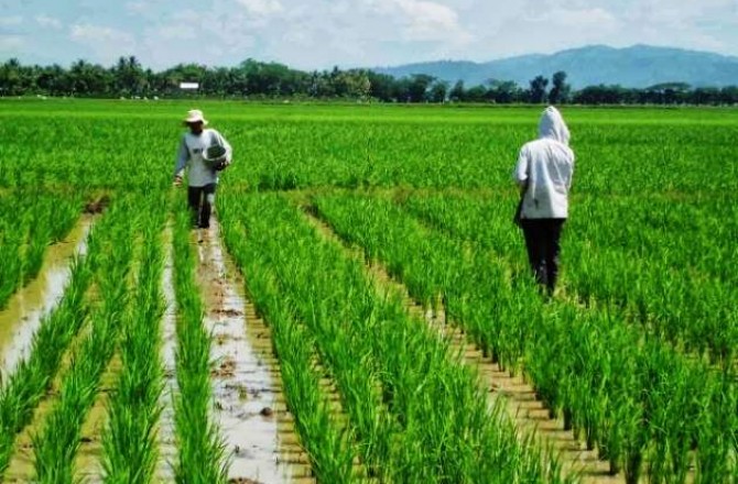 Distan Bone Salurkan Bantuan Alat Pertanian – berita-sulsel.com